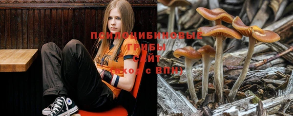 мет Алзамай